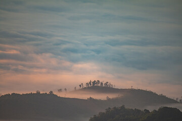 The morning light reflecting off the clouds is so beautiful.