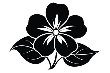 Black and white flower with distinct leaves showcases a beautiful organic form