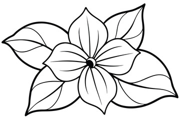 Fototapeta premium Outlined flower with rounded petals and leaves radiates simplicity and understated elegance