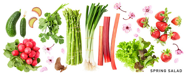 Spring salad vegetables photography collection isolated. PNG with transparent background. Flat lay. Without shadow.