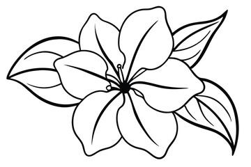 Outlined white flower blooms amidst elegant leaves in this captivating monochrome botanical sketch