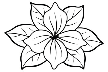 Blooming flower with delicate petals and detailed leaves are outlined in black against white