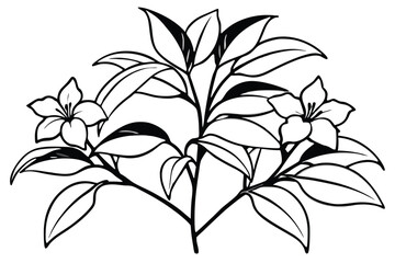 Black outlined blossoms and leaves are arranged symmetrically from a central stem structure