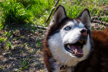 Fototapete bei efototapeten.de bestellen   