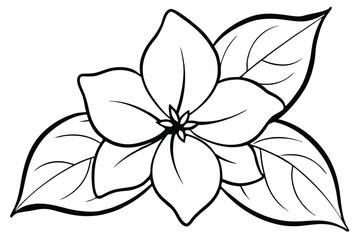 Black outlined floral illustration showcases a single bloom surrounded by striking leaves in detailed form