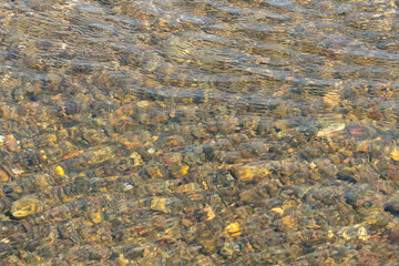 透き通った川の水