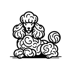 Cute Poodle Logo Illustration, Smooth Outline,  Vector Design