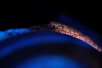 Deep blue liquid surface on black background, oil stains movement, bright chemistry, surreal background, violet ink, flat panels