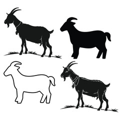 Would you like variations or shorter versions too?