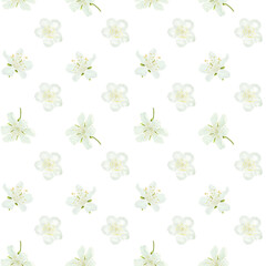 White flowers with delicate petals and yellow stamens, seamless pattern. Digital watercolor illustration. Japanese sakura and cherry blossom twigs and apple twigs isolated on a white background.
