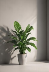 Open magazine mockup, realistic plant shadows, customizable background,  design element,  clean