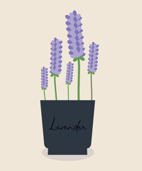 Flat Design Illustration with Lavender Pot