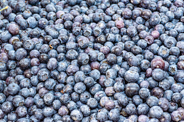 fresh blueberries background Ripe sweet blueberry background. Macro texture of blueberries. Texture blueberry, close up