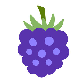purple blackberry fruit isolated clip art preview