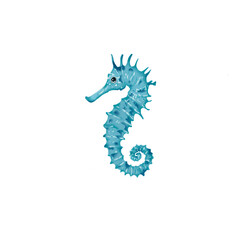 Sea Horse 1
