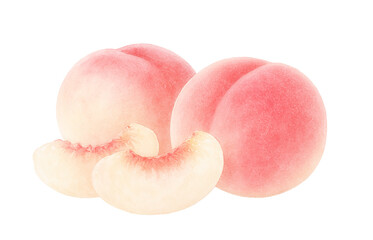 桃のイラスト 水彩 白桃 もも