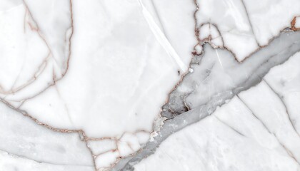 Naklejka premium Veins of grey gracefully carve through the white marble surface, creating a serene and elegant texture perfect for backgrounds.