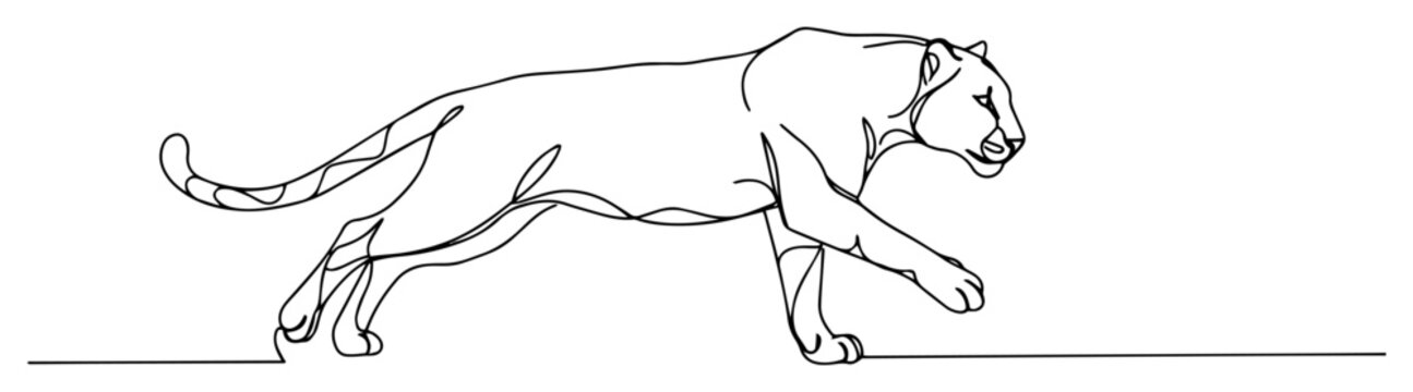 puma one line vector drawing