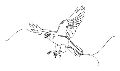 One line sketch of a bird attacking mid-flight. Sharp wings and claws in a dynamic black and white vector style