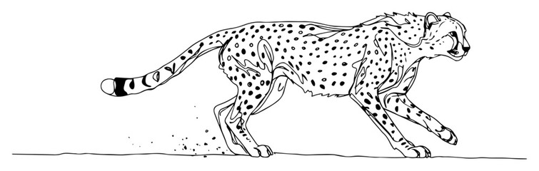 Running cheetah kicking up dust, fastest animal line art © Luka