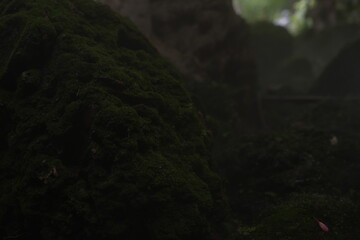 Green moss on the rocks under the waterfall at the beautiful natural mountain.