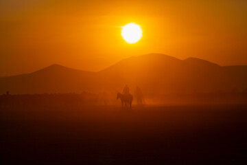 Kayseri wild horses and Mount Erciyes