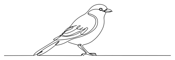 bird line art vector illustration

