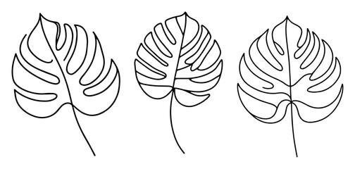 minimalist monstera leaves vector in continuous line art style, perfect for botanical and tropical themed projects