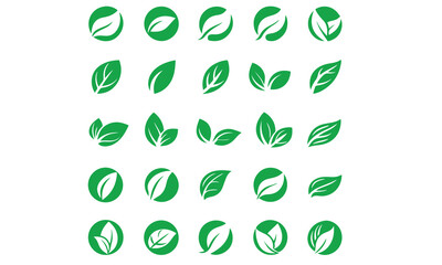 green leaf icon design with white background
