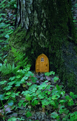 door of elf home in forest. fairy wooden door in tree trunk, nature background. Fairy tale tree...