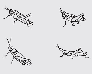type of grasshoppers insect outline icon collections.locust line art vector illustration isolated on background