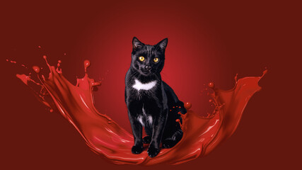 Black cat with golden eyes and white chest marking sitting in red paint splash on red background. Mixed-media artwork for a striking, contemporary effect.