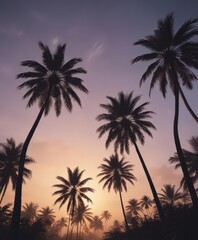 Obraz premium Dramatic palm tree silhouettes at dusk, sharp lines against soft sky , nature, trees, shadows