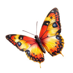 Obraz premium Vibrant butterfly, intricate wings