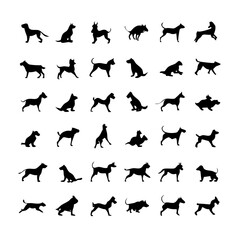 25 Dogs: A Collection of Canine Companions