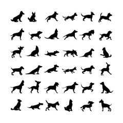 25 Dogs: A Collection of Canine Companions