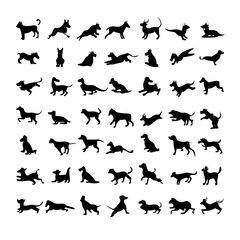 25 Dogs: A Collection of Canine Companions