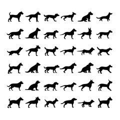 25 Dogs: A Collection of Canine Companions