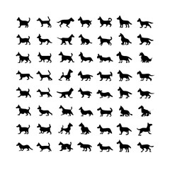 25 Dogs: A Collection of Canine Companions