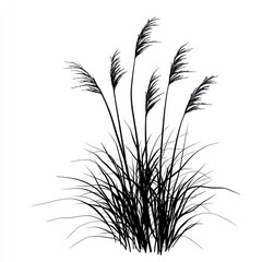 Silhouetted ornamental grasses swaying gently