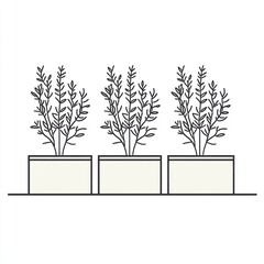 Three potted herbs on shelf, kitchen garden