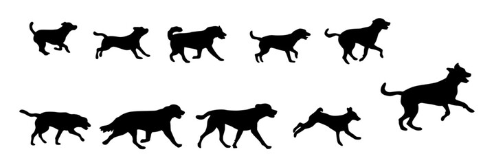 Running dog, different types of dogs running silhouette