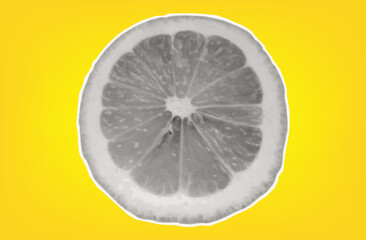 Lemon slice. Citrus tropical fruit with halftone texture. Sour raw fresh food. Isolated lemon on yellow background for modern art collage design. Vector paper cut element.