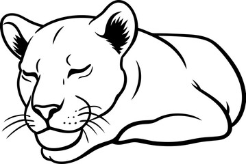 vector illustration of a tiger