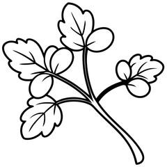 Watercress outline vector