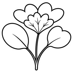 Watercress outline vector