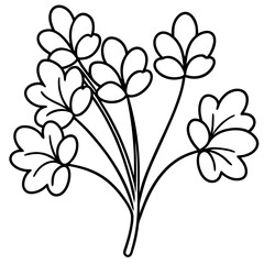 Watercress outline vector