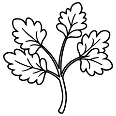 Watercress outline vector