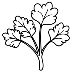 Watercress outline vector