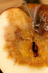 cut ripe apple that has begun to deteriorate and become covered with rot , close up